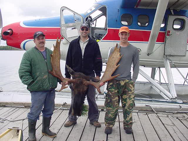 First moose for Hearst Air's 2009 Season